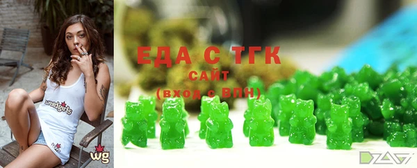 индика Горно-Алтайск