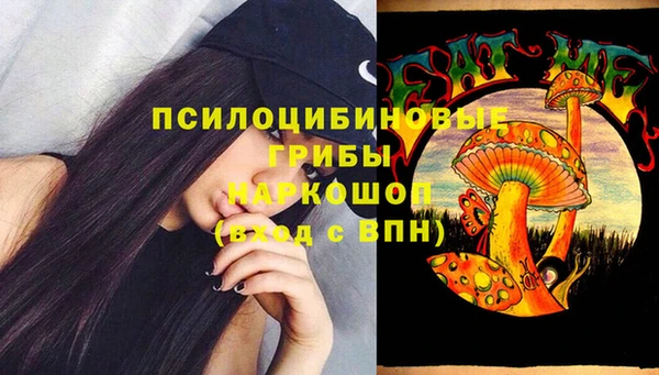 mdpv Тавда