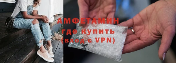 индика Горно-Алтайск