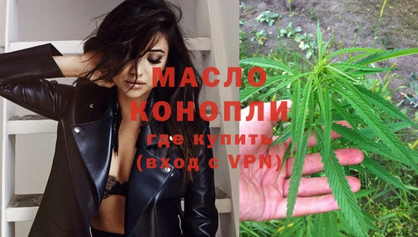 индика Горно-Алтайск