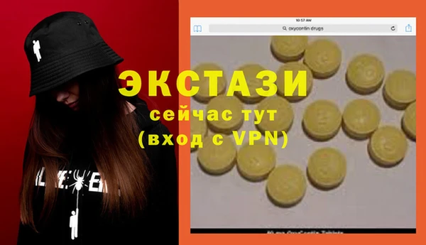 индика Горно-Алтайск