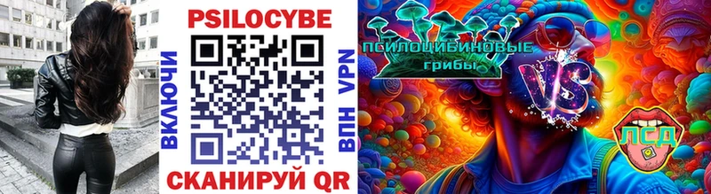 Псилоцибиновые грибы MAGIC MUSHROOMS  что такое наркотик  Дорогобуж 