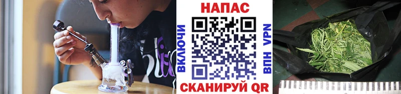 Бошки Шишки семена  дарнет шоп  Дорогобуж 